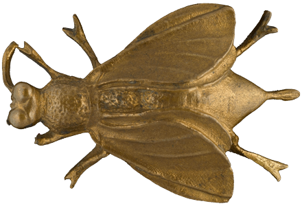 Napoleon’s Bee